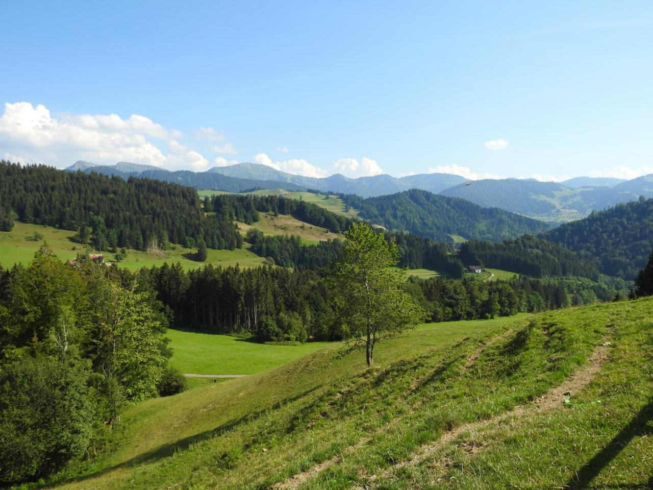 Ferienwohnungen Am Schlossberg Oberstaufen Eksteriør bilde